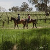 Image 1: Horse Trail Ride and Wine Tasting at Adelaide Hills Winery