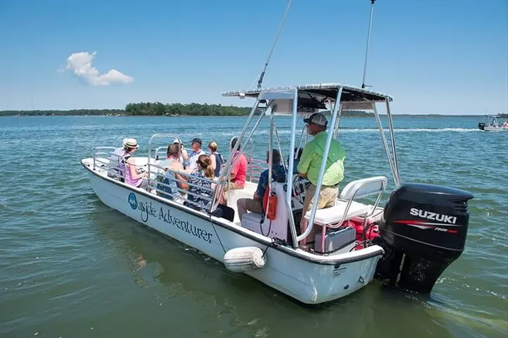 Outside Dolphin Eco Tour in Hilton Head - Primary Image