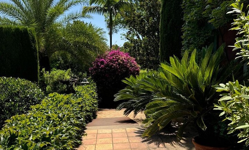 Image 8: Excursión de un día a Denia y los jardines mediterráneos