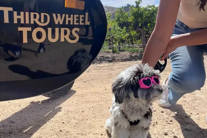 The Luxe Wine Trail Excursion Paso Robles