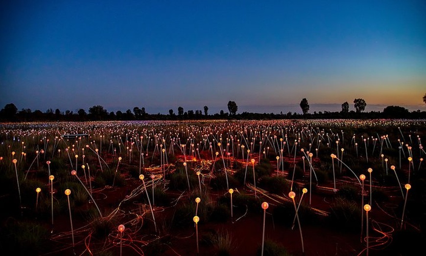 Image 5: Uluru (Ayers Rock) Field of Light Sunrise Tour