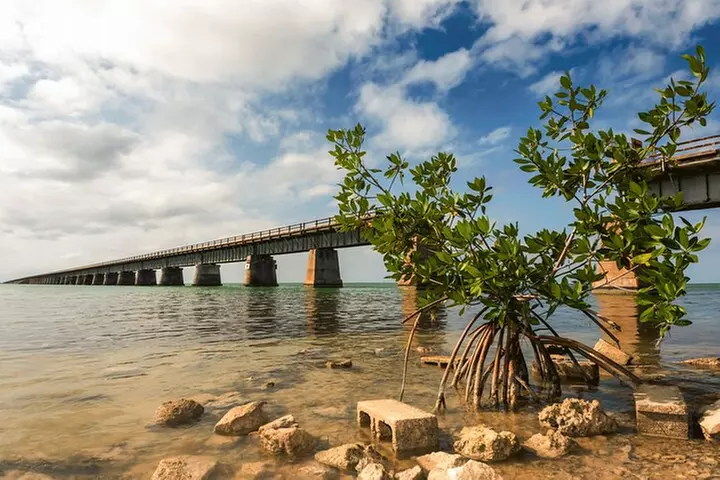 Ft. Lauderdale to Key West Day Trip Quality Day Tours