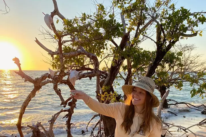 Clear Kayak Guided Eco Tour in North Naples