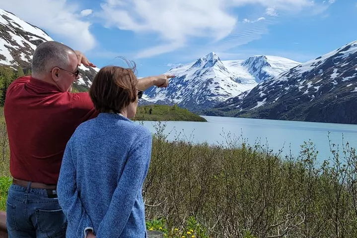 Wilderness, Wildlife, Glacier Experience from Anchorage