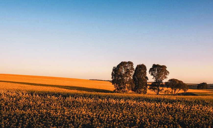 Image 30: Burra Township to Mount Bryan History and Landscape Day Tour