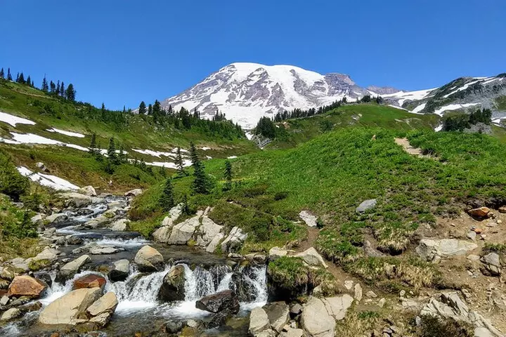 Mount Rainier National Park - Private Luxury Day Tour with Lunch - Primary Image
