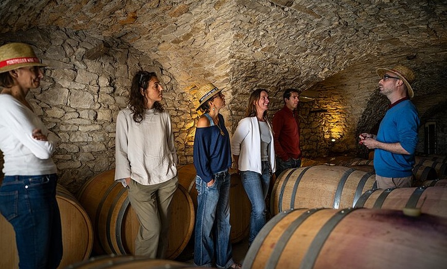 Image 8: Visite d'une demi-journée en petit groupe, vins du Languedoc, Pic S...