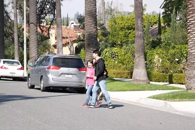 Beverly Hills, Hollywood Sign, Beach 8 hours private tour, Free Pickup in LA - Primary Image