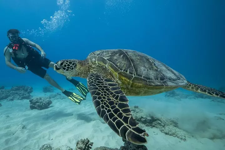 DISCOVER Scuba Diving Experience in Honolulu