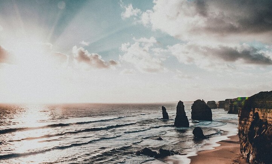 Image 7: Scenic Great Ocean Road Discovery Tour - Iconic Coastal Wonders