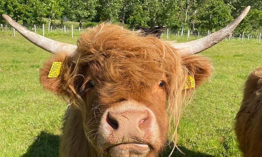 Image 4: loch ness, Culloden, Clava and Urquhart Castle from Inverness