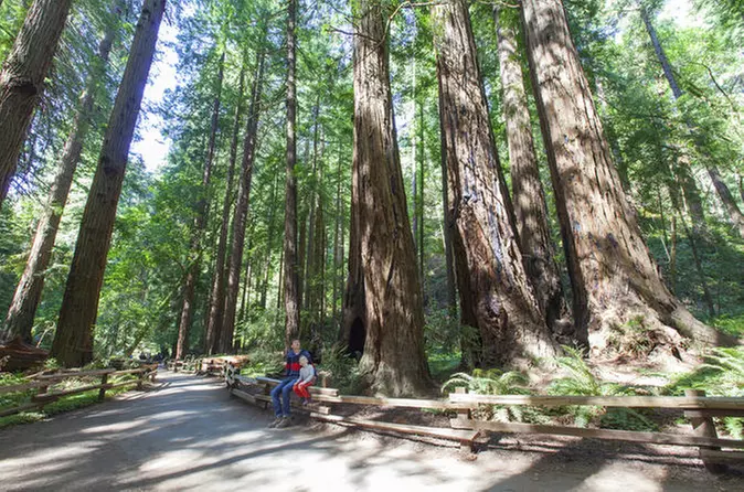 Muir Woods and Sausalito Tour from San Francisco with Bay Cruise - Primary Image