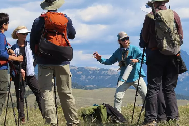 Lamar Valley Safari Hiking Tour with Lunch - Primary Image