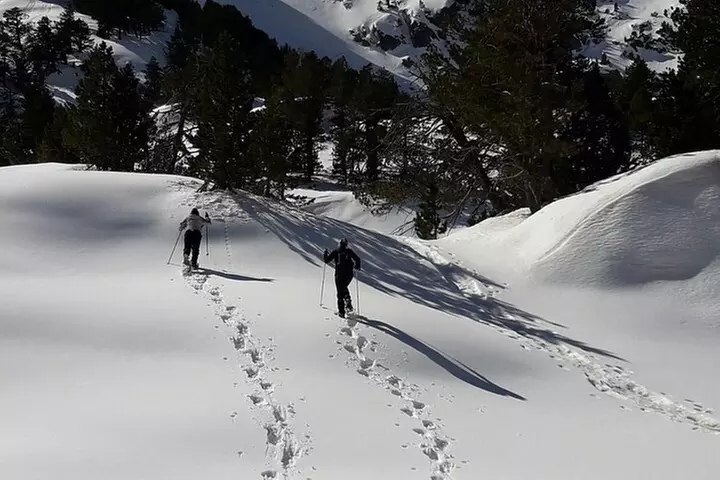 Ruta Guiada con Raquetas de Nieve en el Parque Nacional en pirineos