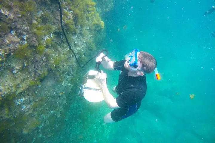 Mallorca : Paseo en kayak, cueva marina, salto acantilado y snorkel