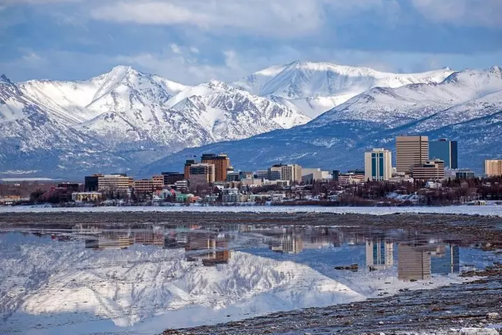 Astonishing Scavenger Hunt: Mushing Through Anchorage