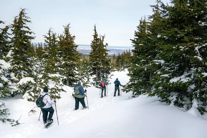Advanced Snowshoeing Adventure - Primary Image
