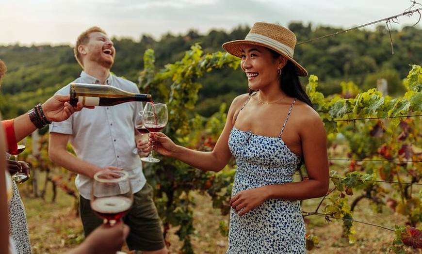 Image 1: Hunter Valley All Inclusive, Wine, Chocolate Tasting and Lunch