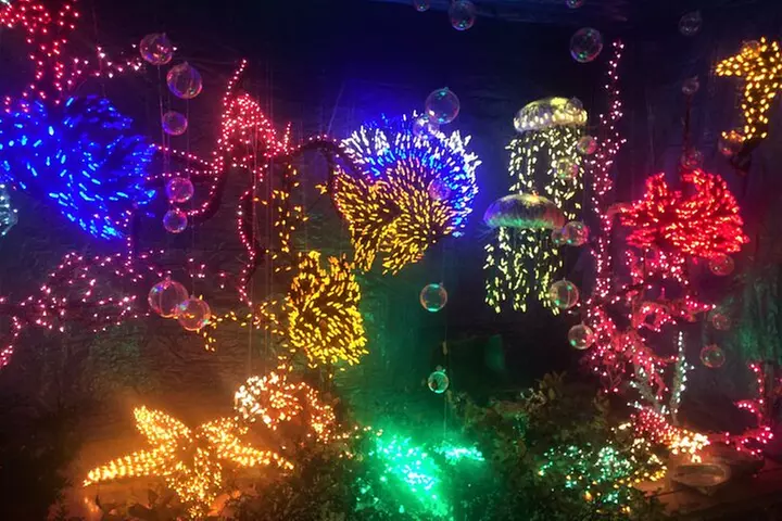 Christmas Lights and Snowflake Lane photo tour