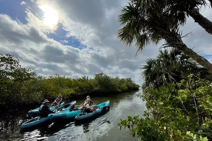 Wildlife Refuge Manatee, Dolphin & Mangrove Kayak or Paddleboarding...