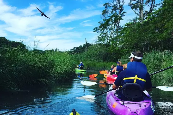 Kayak The Creek Nature Tour - Primary Image