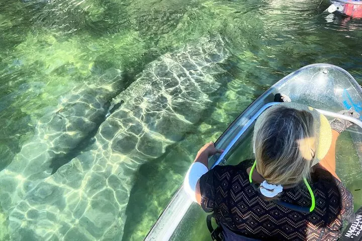 Crystal River Three Sisters Springs and Manatee Clear Kayak Tours
