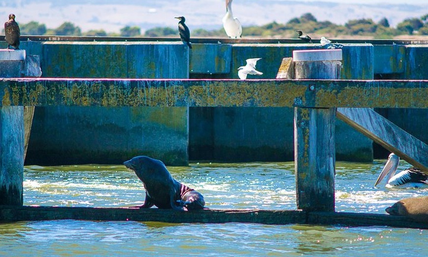 Image 1: Murray Mouth Cruise