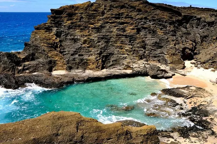 Oahu's Ultimate Tour: Dole, Turtle Snorkel, Pali Lookout & More