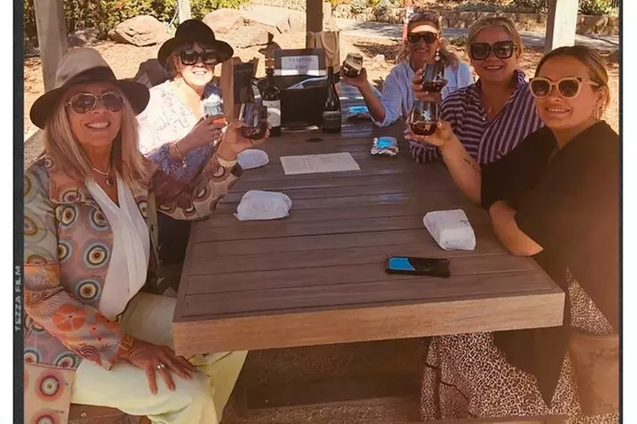 Painted Ladies Wine Country Tour