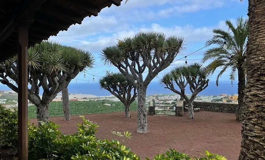 Image 7: Visita guiada al Mundo del Plátano