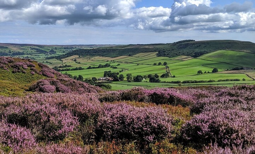 Image 2: Whitby, Robin Hood's Bay and the Moors from York