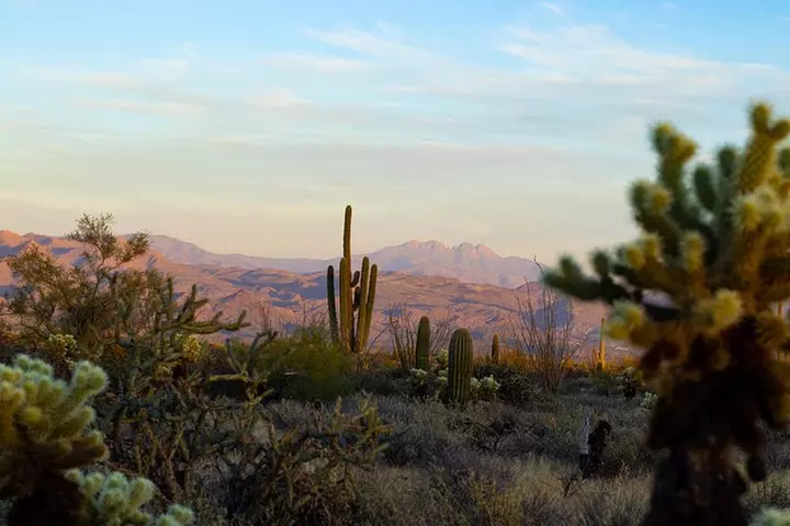 Sonoran Desert Jeep Tour at Sunset