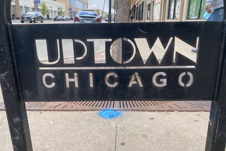 Small-Group Tour of Chicago Neighborhoods: North and South Side