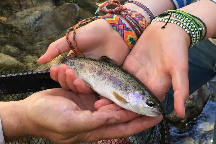 Family Fun Private Half Day Fly Fishing Adventure - Primary Image