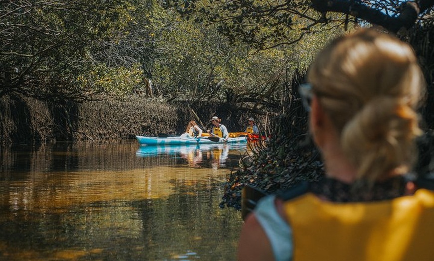 Image 6: Dolphin Sanctuary Kayak Tour Adelaide