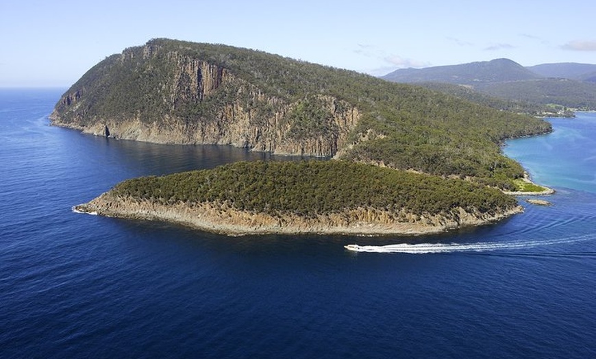 Image 3: 3-Hour Bruny Island Cruise from Adventure Bay, Bruny Island