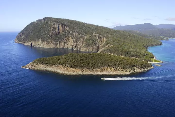 Bruny Island Wilderness Cruise from Adventure Bay, Bruny Island