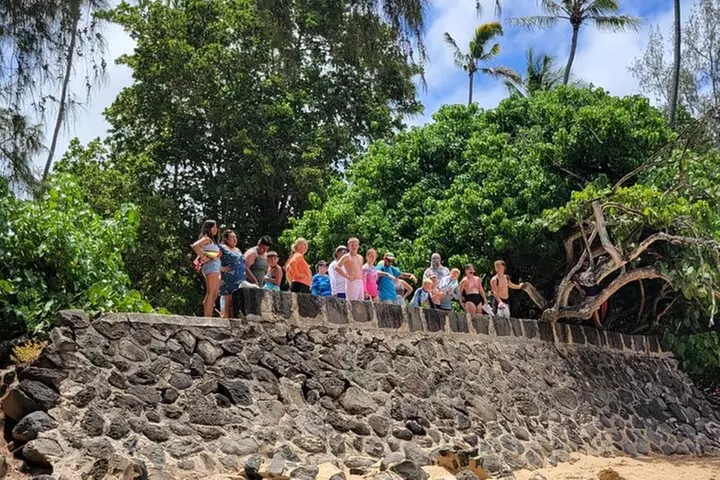 Oahu Circle Island: Snorkel with Turtles & Explore Turtle Beach