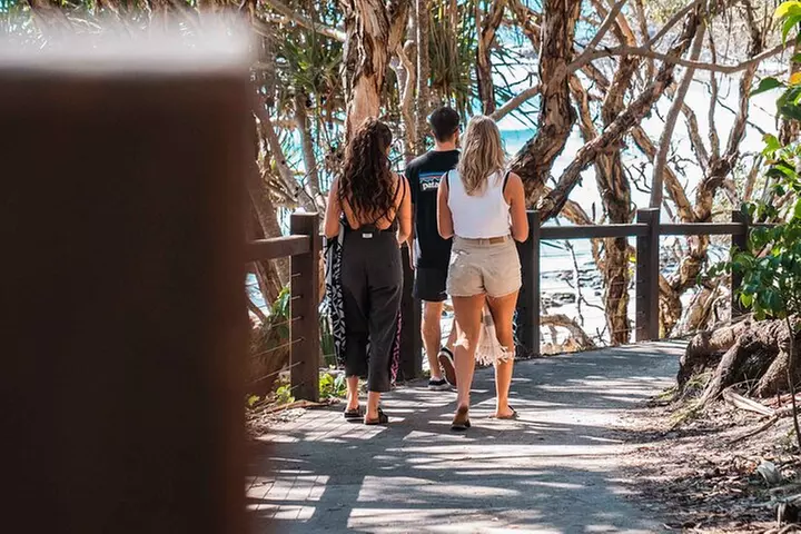 Sunshine Coast Hinterland and Noosa Day Trip from Brisbane Incl Eum...