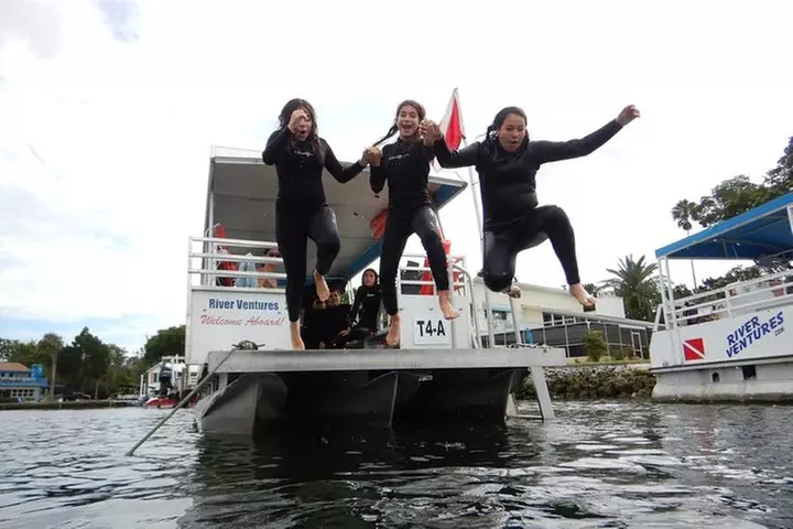 Private 'OG' Manatee Snorkel Tour with Guide for up to 10 people
