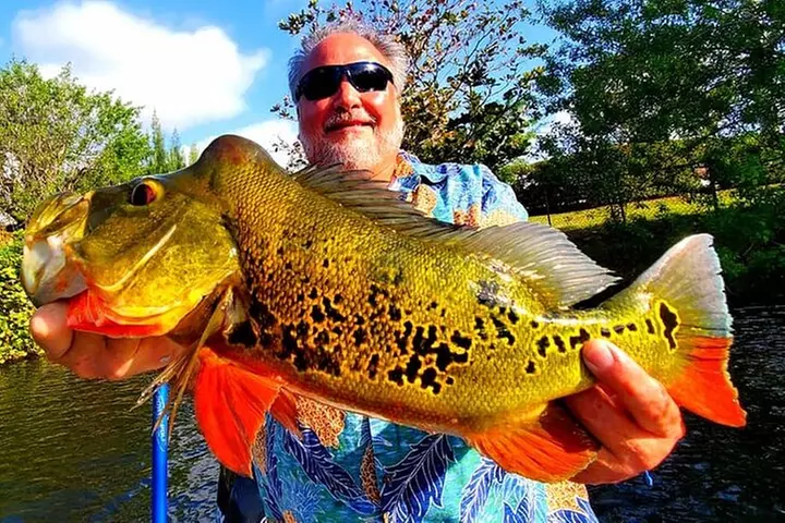 Peacock Bass Fishing Trip near Miami South Beach