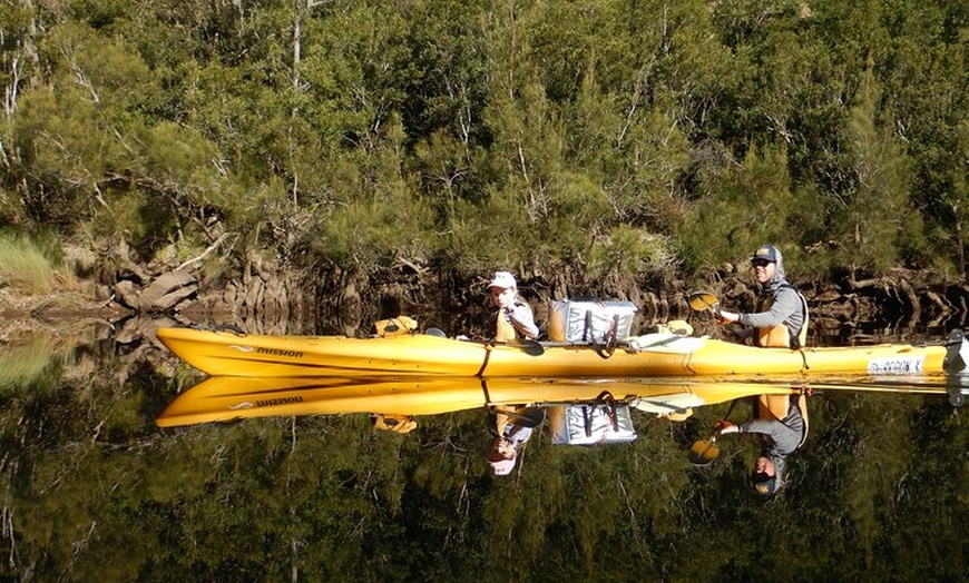 Image 10: 3 Day Guided Kayak Camping Adventure on the Clyde River