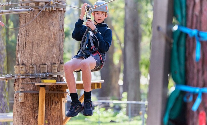 Image 10: Forest Adventures