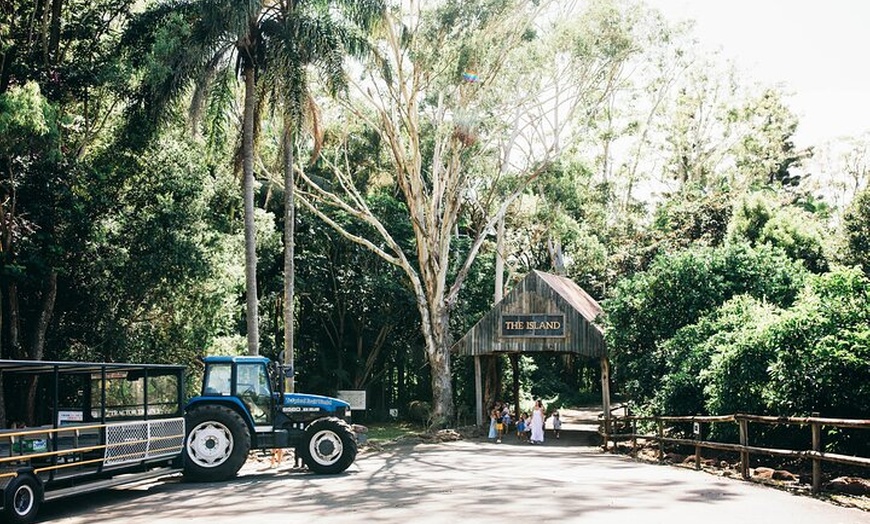 Image 1: Tropical Fruit World Farm Full Tour