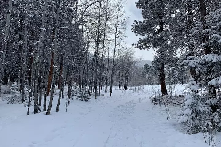 Snowshoeing Adventure in the Rocky Mountains Close to Denver