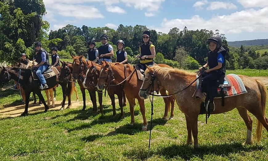 Image 2: Horse and Quad bike tour with a visit to a Petting Zoo