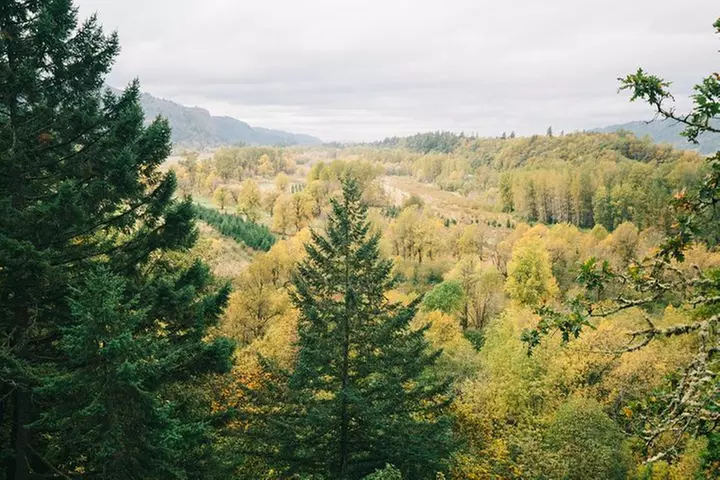 Multnomah Falls and Columbia River Gorge Waterfalls Tour Morning