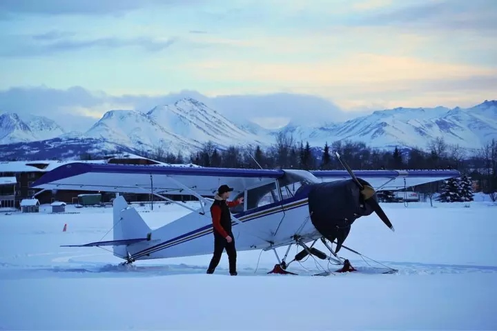 Anchorage's Winter City Tour = Samples + Stops + WildLife