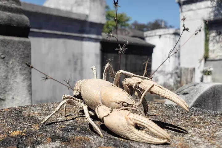 New Orleans Garden District History Walking Tour
