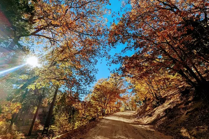 Family-Friendly Nature Hike around the Big Bear Valley